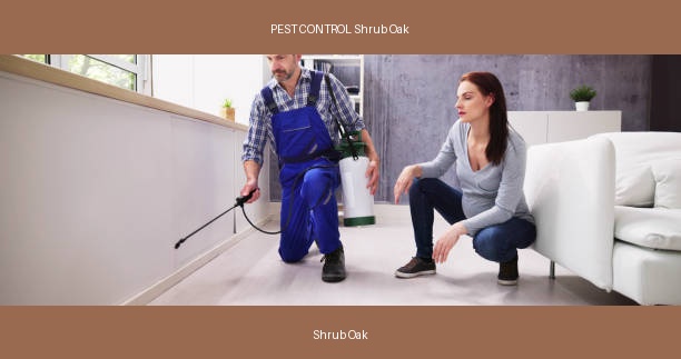 PEST CONTROL Shrub Oak